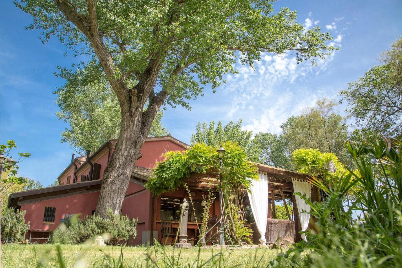 Bed and Breakfast Ca' Barbona Лидо-ди-Классе Экстерьер фото