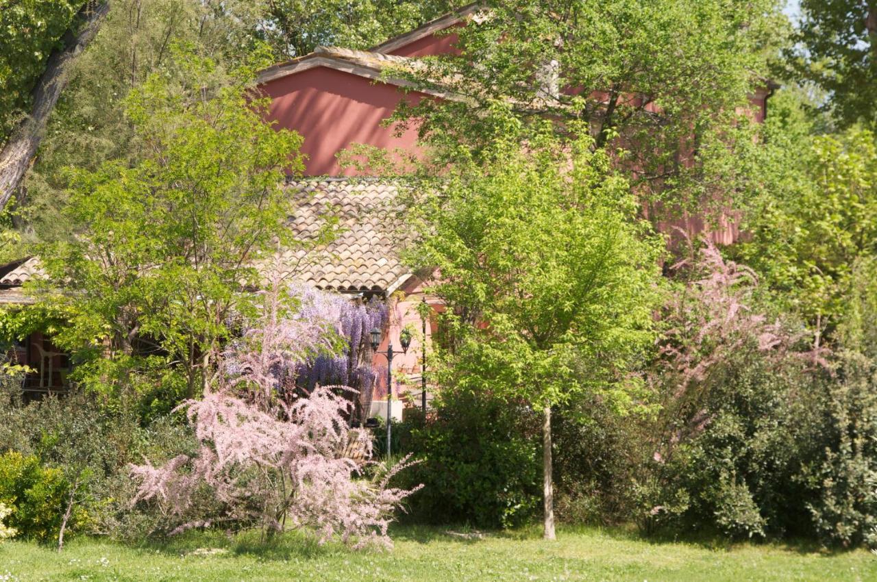 Bed and Breakfast Ca' Barbona Лидо-ди-Классе Экстерьер фото